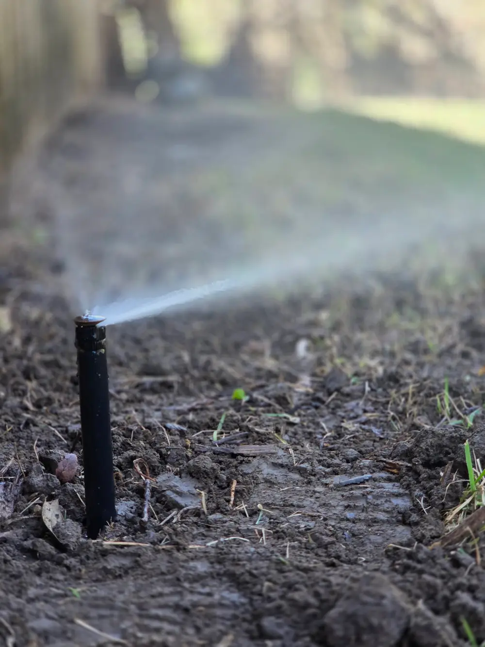 Close-up sprinkler head spraying water in irrigation trench
